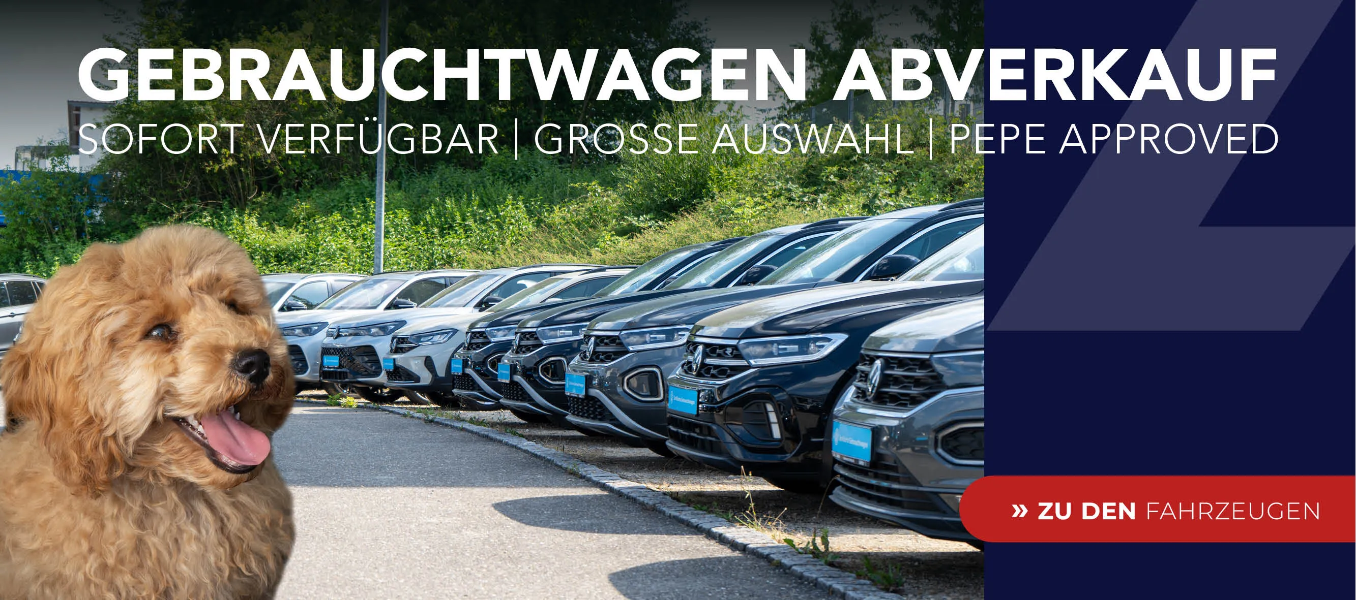 Slider Gebrauchtwagen Abverkauf