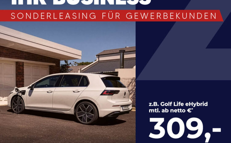  Hybrid Power für Ihr Business